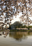 Helen Eddy photo card - Jefferson Memorial (V) - Washington DC - Item 140d-48