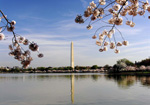 Helen Eddy photo card - Washington Monument (H) - Washington DC - Item 140d-59