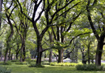 Helen Eddy photo card - Central Park, NY - Item 201d-34