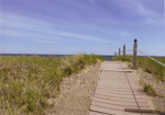 Helen Eddy photo card - Boardwalk, Old Orchard Beach, ME - Item 209d-87