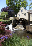 Helen Eddy photo card - Jenney Grist Mill, Plymouth, MA - Item 279d-76