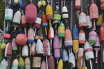 Lobster Shed with Buoys - Maine