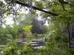 Monet’s Water Garden - Giverny France