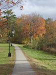 Autumn Lamplight Path