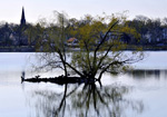 Helen Eddy photo card - Jamaica Pond Island, Jamaica Plain, MA - Item 352d-10