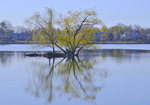 Helen Eddy photo card - Jamaica Pond(h), Jamaica Plain, MA - Item 352d-13