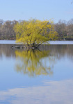 Helen Eddy photo card - Jamaica Pond(v), Jamaica Plain, MA - Item 352d-15