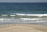 Helen Eddy photo card - New Hampshire Sea Coast - Item 60d-06