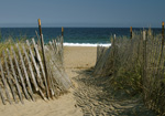 Helen Eddy photo card - New Hampshire Sea Coast - Item 60d-11