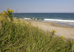 Helen Eddy photo card - New Hampshire Sea Coast - Item 60d-13