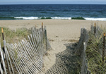 Helen Eddy photo card - New Hampshire Sea Coast - Item 60d-19