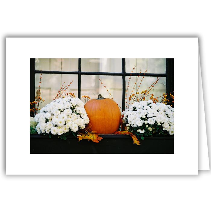 Pumpkin and White Mums