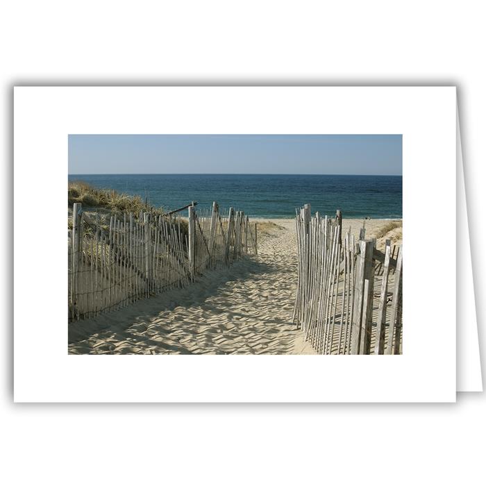 Beach Path Between 2 Fences - Cape Cod