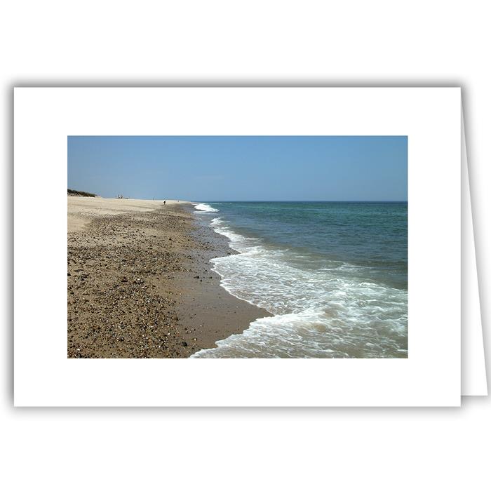 Low Tide Shellers - Cape Cod