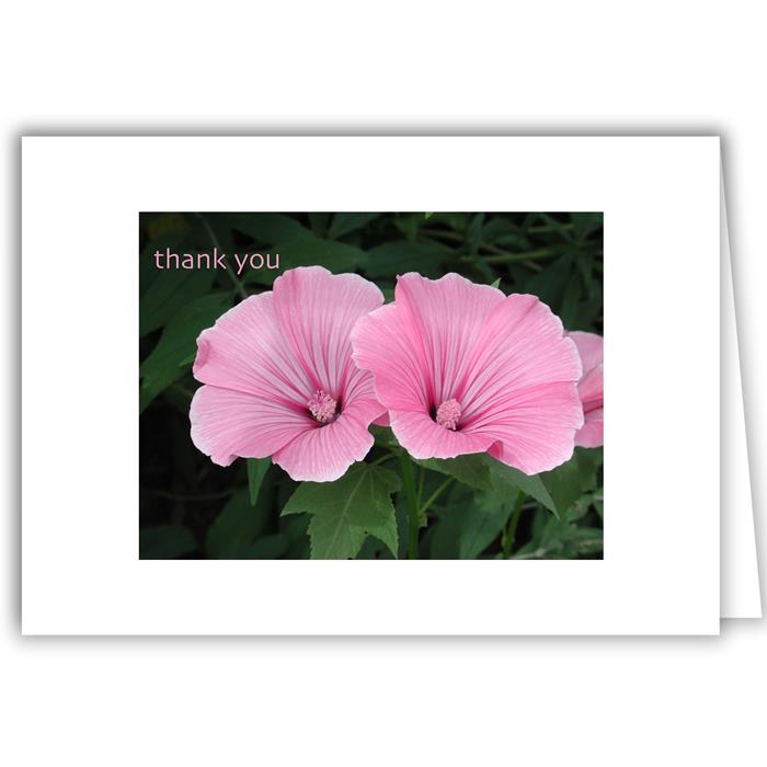 Thank You Pink Flowers