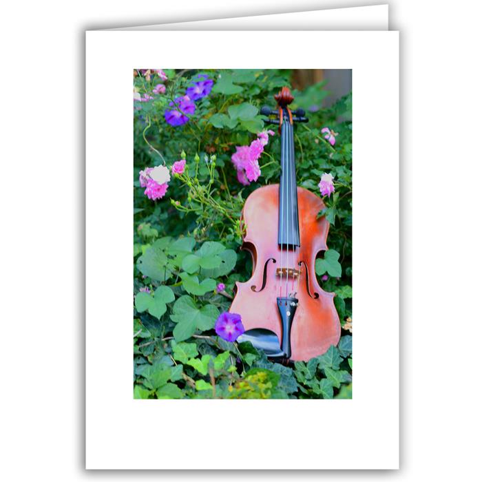 Violin