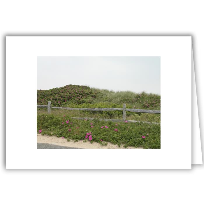 Flowering Wild Rose Bushes with Fence