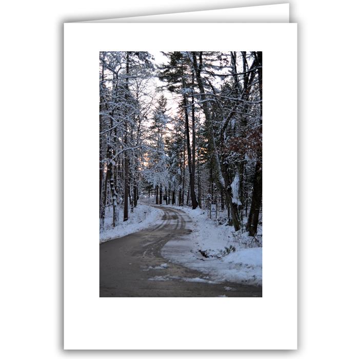 Snowy Road - Winter