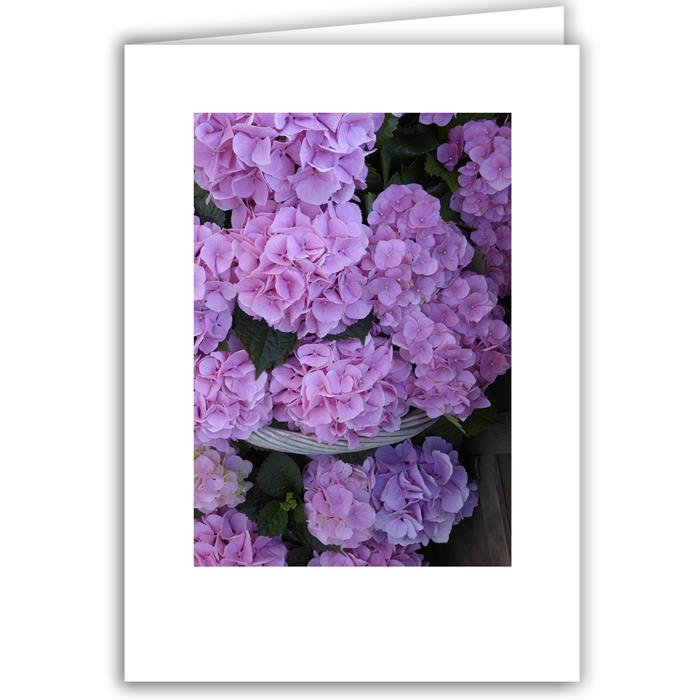 Pink Hydrangea in Basket