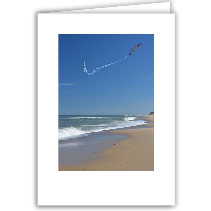 Beach with Kite (V) - Cape Cod