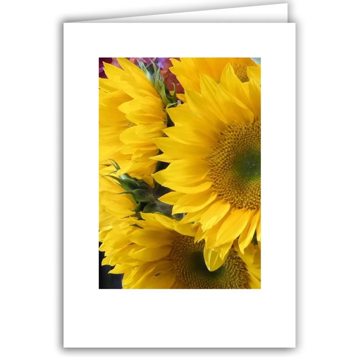 Yellow Chrysanthemum