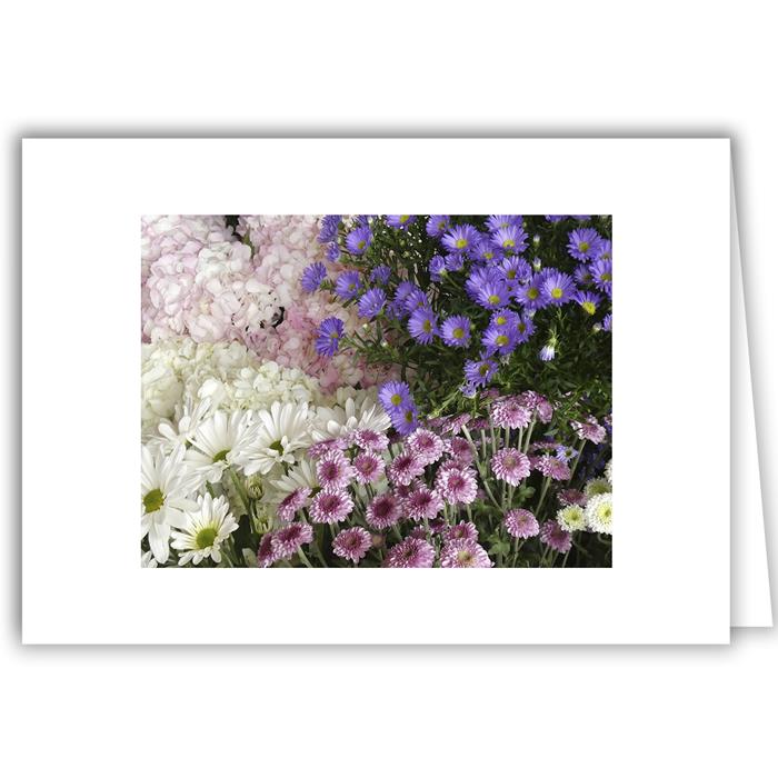 Hydrangeas, Asters, Mums, Daisies