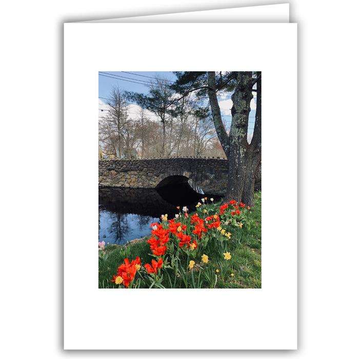 Tulips and Stone Bridge