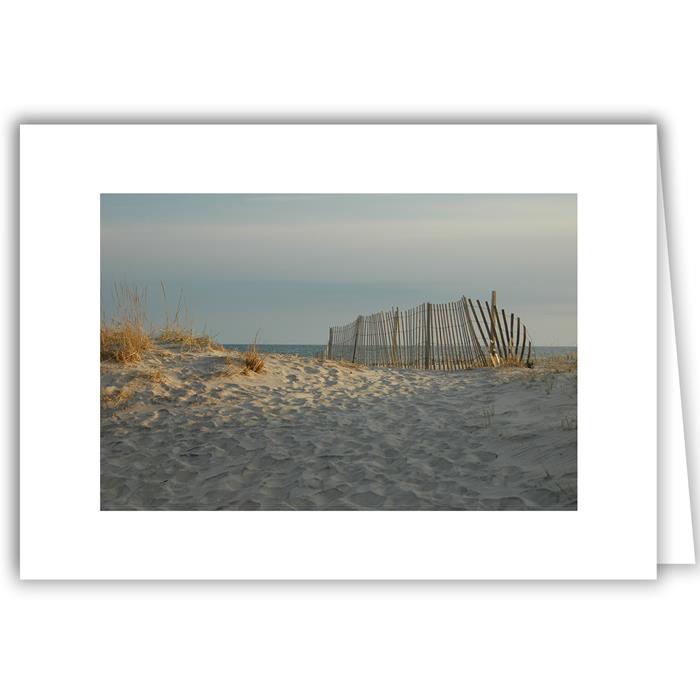 Gray Sky Fence on Beach Path - Long Island