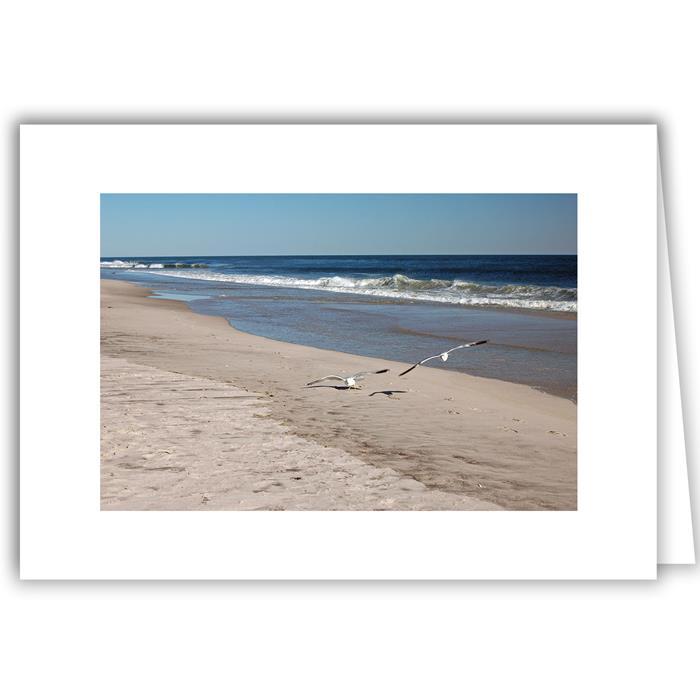 Gulls Over Beach - Long Island