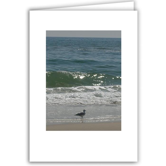 Lone Gull with Sun in Waves - Long Island