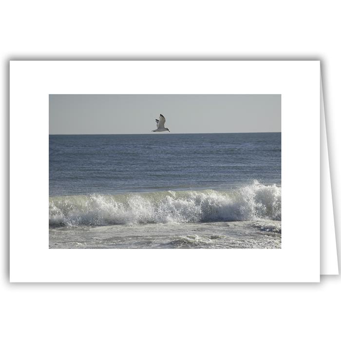 Lone Gull over Crashing Wave - Long Island