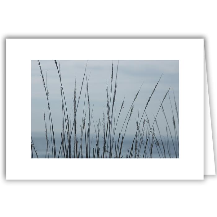 Sea Grasses