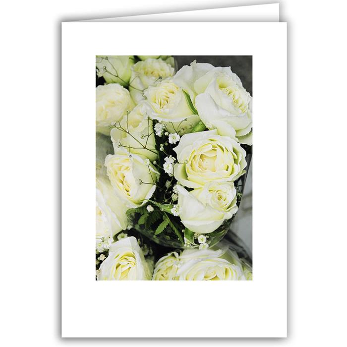 White Roses