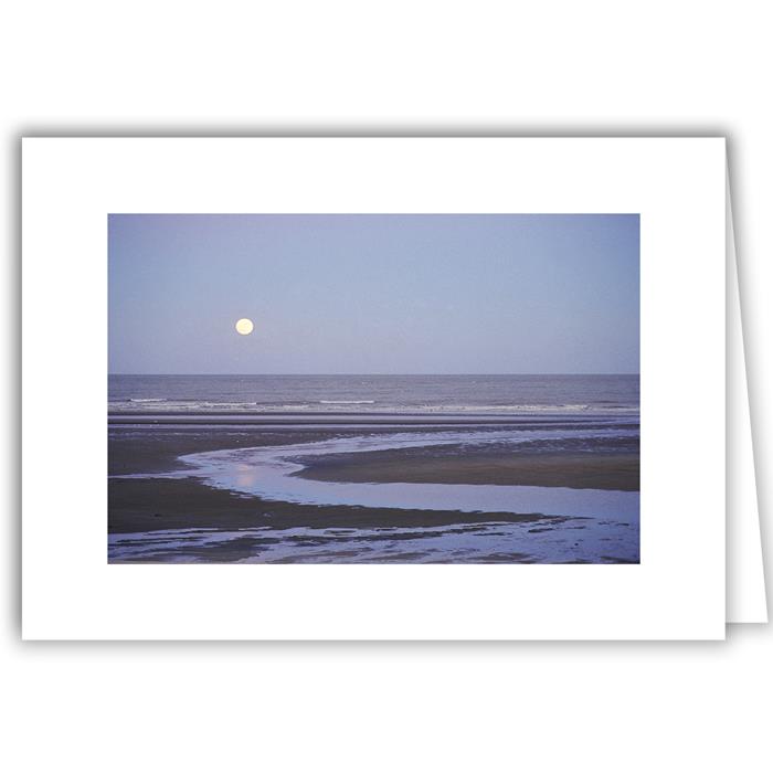 Beach Moonrise Baja