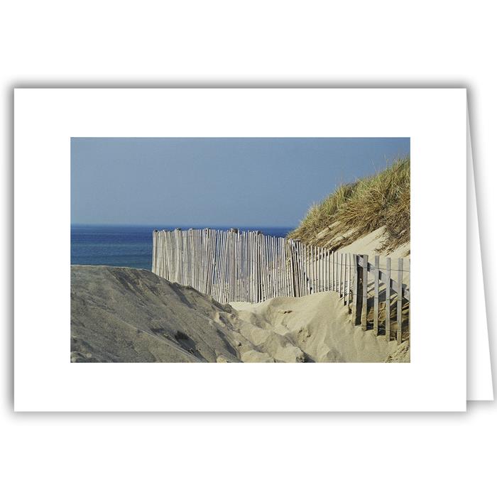 Large Dune and Fence - Cape Cod