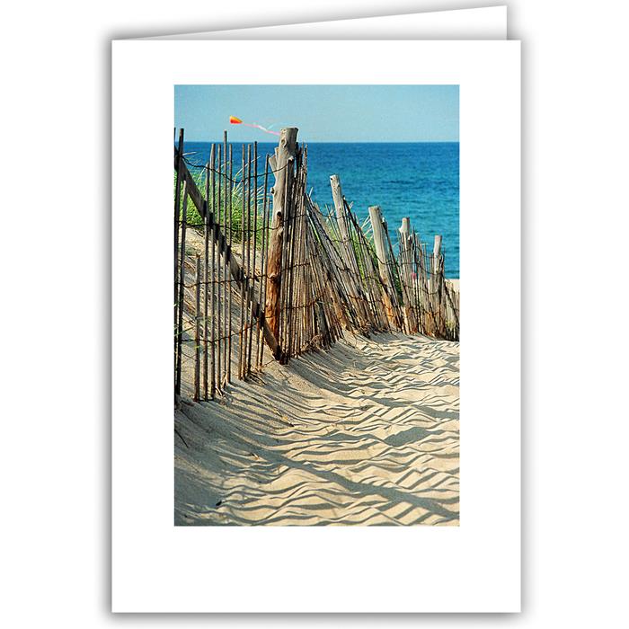 Fence and Kite - Cape Cod