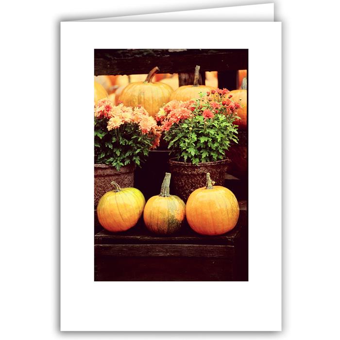 Orange Mums &amp; Pumpkins