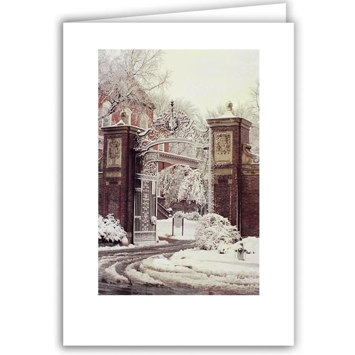 Johnston Gate - Winter