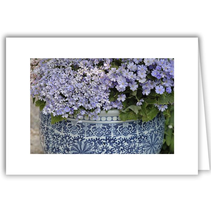 Flowers in Blue Ceramic Pot