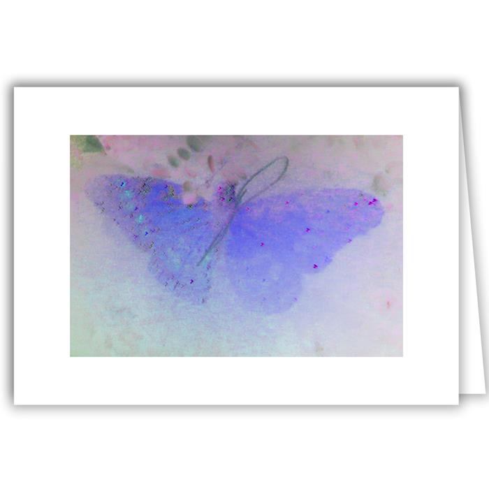 Purple Butterfly