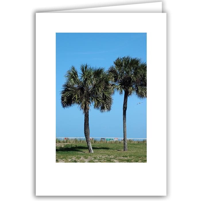 Helen Eddy photo card - Two Palms, FL - Item 161d-10