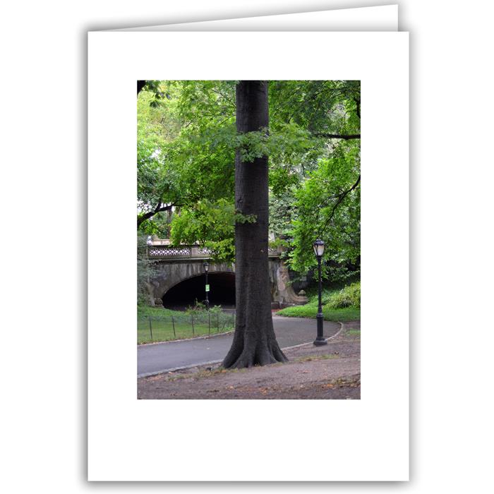 Helen Eddy photo card - Central Park, NY - Item 200d-77