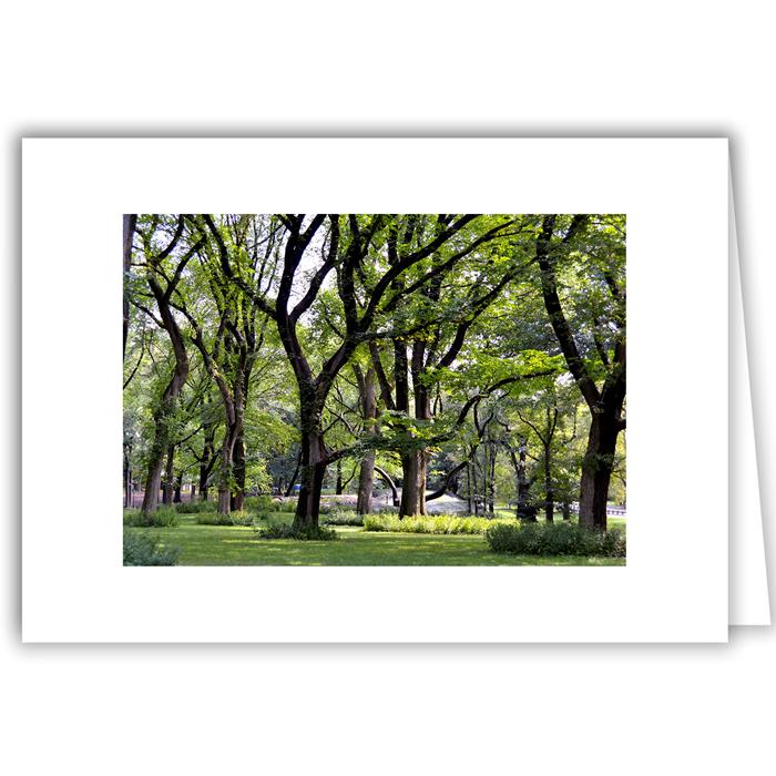 Helen Eddy photo card - Central Park, NY - Item 201d-34