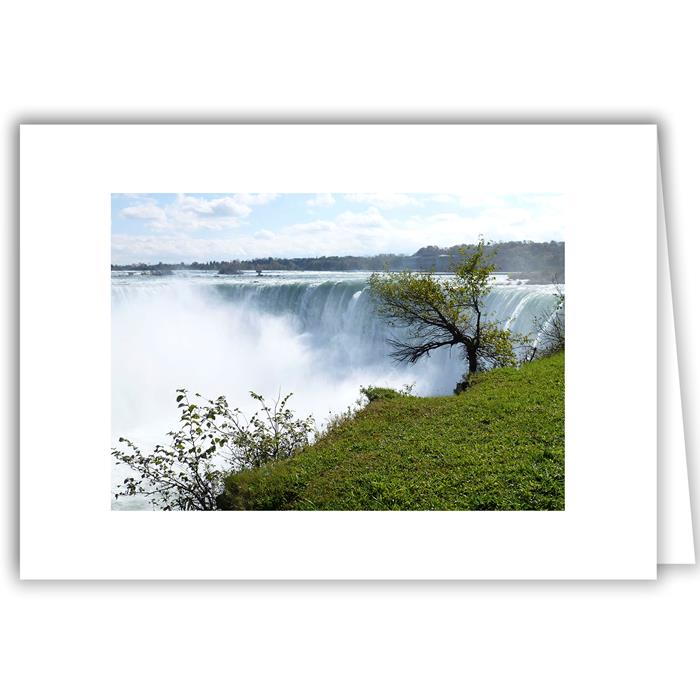 Helen Eddy photo card - Niagara Falls, NY - Item 229d-36