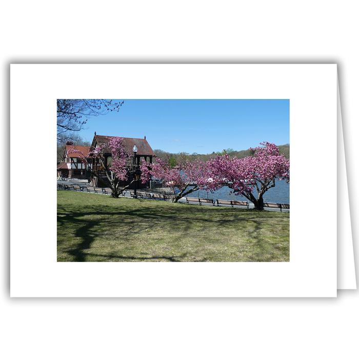 Helen Eddy photo card - Blooming Trees by Jamaica Pond, MA - Item 355d-55