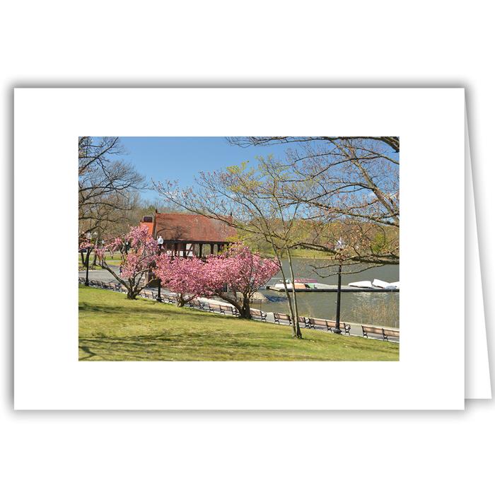 Helen Eddy photo card - Blooming Trees by Jamaica Pond, MA - Item 355d-58