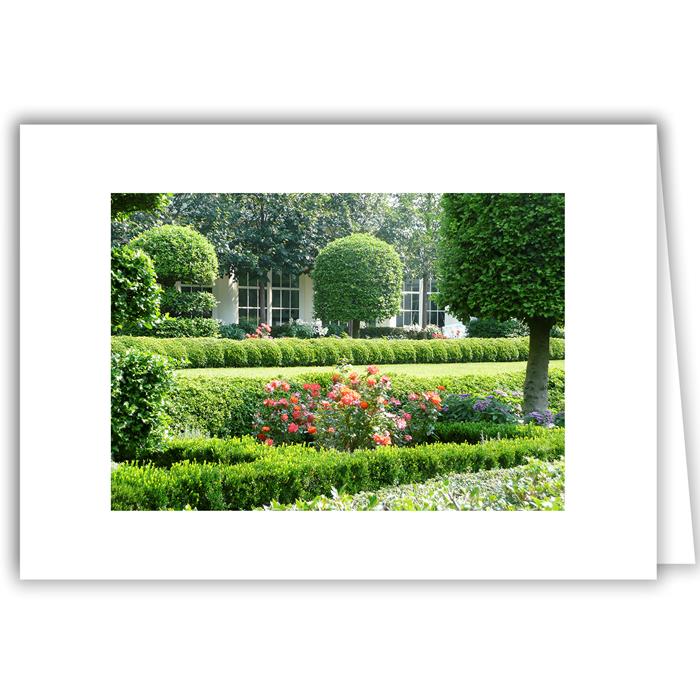 Helen Eddy photo card - J. Kennedy Garden -Tree at Right - Washington DC - Item 103d-68