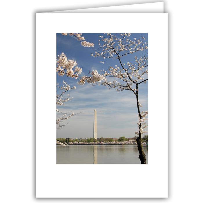 Helen Eddy photo card - Washington Monument (V) - Washington DC - Item 140d-50